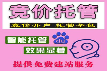 SEM优化实战：打造高效广告投放案例